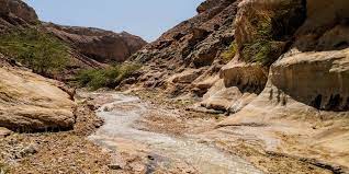 صورة 3